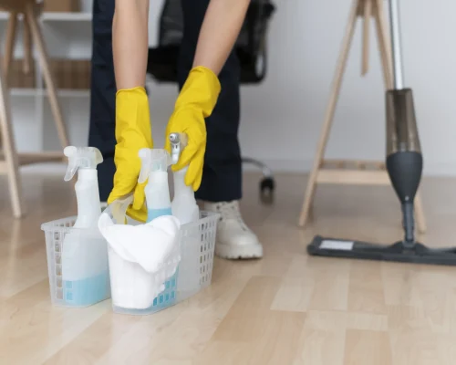 house and general Cleaning2